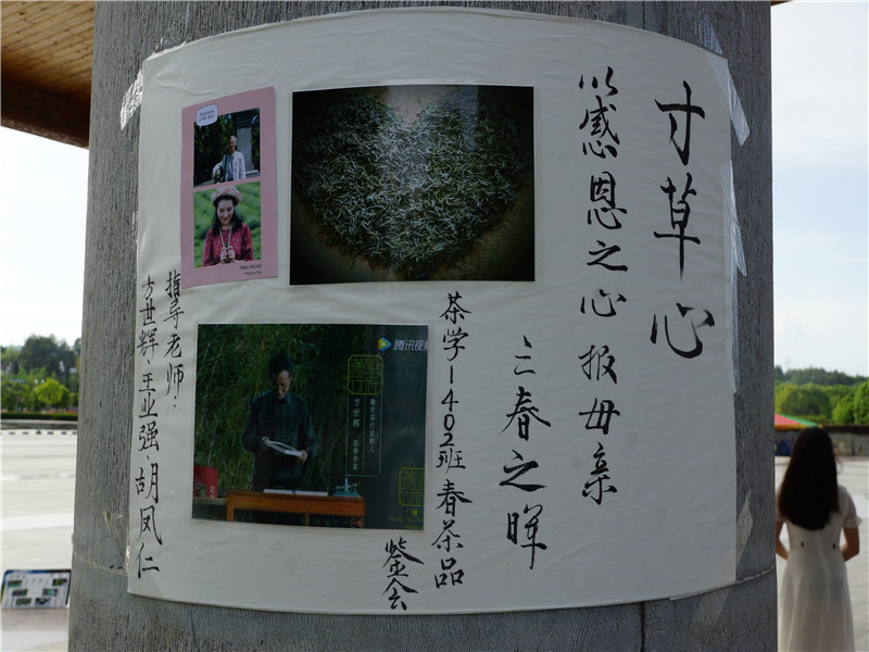 “寸草心”手工春茶品鑒會(huì)