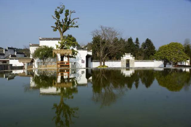 酒店管理與數(shù)字化運營