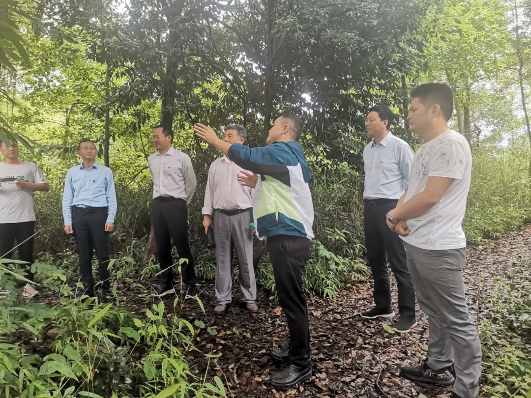 江西婺源茶業(yè)職業(yè)學(xué)院組織開展“學(xué)黨史、悟思想、重走紅軍路”系列活動(dòng)